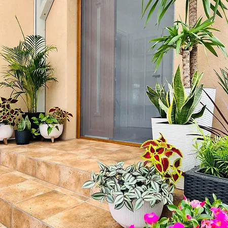 Szep Erno Vip Apartament